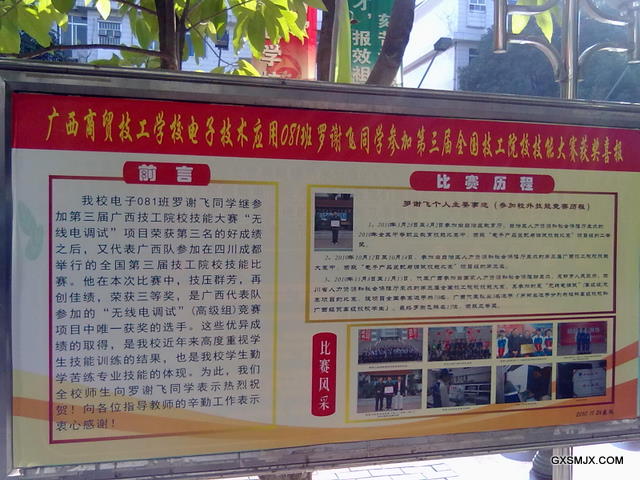 我校08级电子专业学生代表广西参加全国技工院校职业技能大赛喜获佳绩