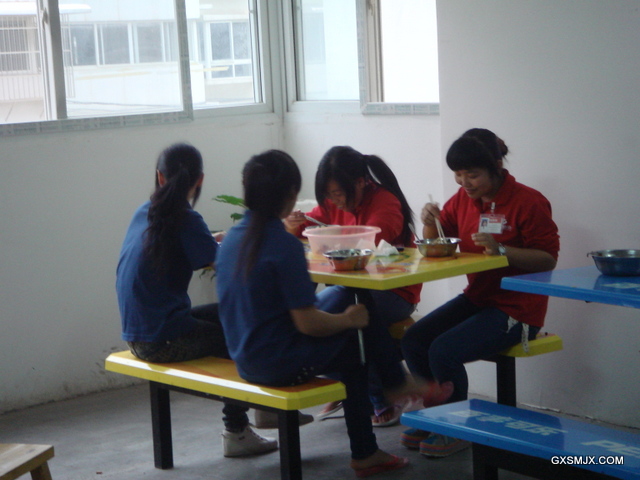 学生们在店内整洁的饭堂用餐