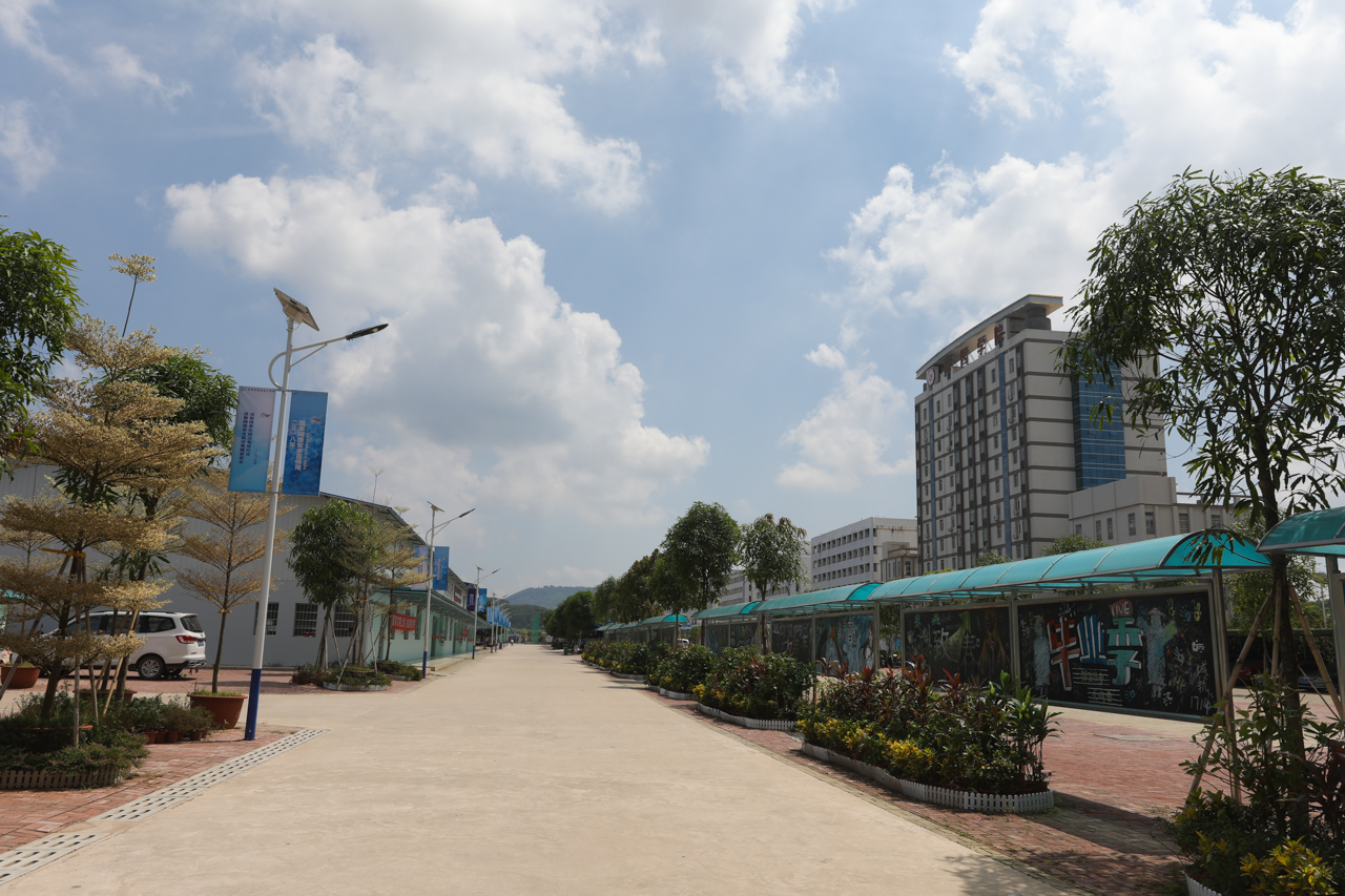 003广西商贸高级技工学校明阳校区主干道路灯道旗.jpg