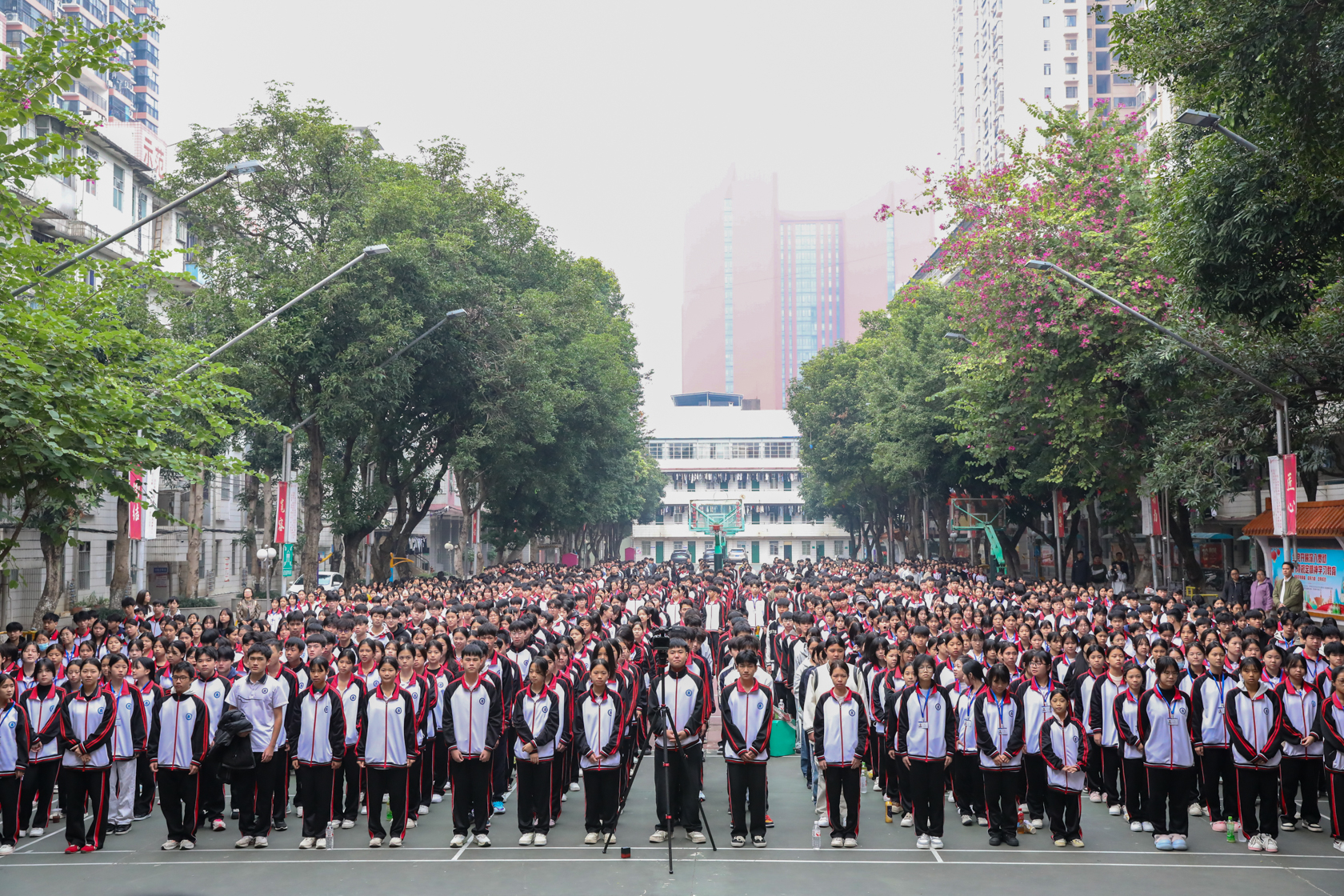 5D4B0547.jpg 5D4B0547.jpg